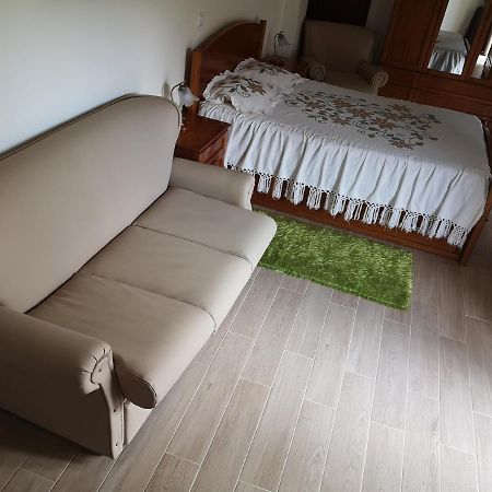 Casa Girao - Alojamento Local Termas de Sao Pedro do Sul Kültér fotó